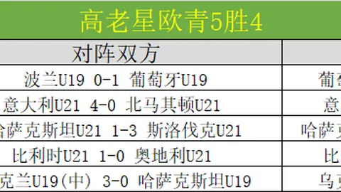 意甲豪门佛罗伦萨欲签沙拉维，申花同意放行